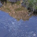 riflessi