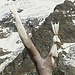 ...galletto di vetta...
