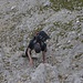 Daniel beim kraxeln