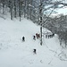 Foto d'archivio: Valle del Cugnolo Storto. In questo vallone, all’inizio di febbraio, una slavina poneva numerosi problemi sia agli sciatori che ai ciaspolatori (8.2.2009).