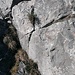 To va', un segnale sulla cresta M. Pilastro - Bocc. di Calivazzo