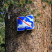 These signs somewhat confused me.<br />I wrongfully assumed they were along the trail, but they were posted along the Mokelumne Wilderness border.