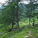 Pianello