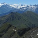 Dristkopf und Baumgartgeier unter den Tauern