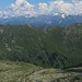 Dristkopf und Baumgartgeier