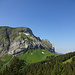Saftig grüne Alpen