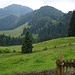 Blick von der Schwarzrieshütte zum Pasterkopf