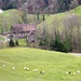 Tobelmüli im Glatt-Täli bei Gossau SG