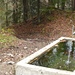 Zwischen Schwänberg und Gossau