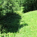 Einstieg über die Wiese zum Pfad durch den Schlosswald