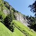 Hier kommt man aus dem Wald zum Chrinnen.