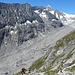 ... mit Blick zum schwindenden Oberaletschgletscher; rechts unterhalb des Nesthorns der Beichgletscher