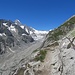 ... mit Blick auf den verbleibenden Oberaletsch- und Beichgletscher und Nesthorn