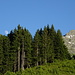 Dall’Alpe Le Piane, a destra il Pizzo di Rodes.