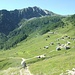 Alpe Arcoglio Inferiore