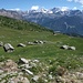 Alpe Arcoglio Superiore