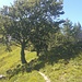 La Bocchetta di Prada ed il sentiero che sale al Monte Croce<br />