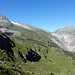 Rückblick auf den langen Hüttenweg - mit Fusshörnern, Driest- und Aletschgletscher sowie Bettmerhorn (von links)