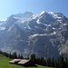 Alp Mettla 1700m mit Jungfrau