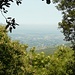 Blick vom Monte Pietramarina nach Westen