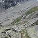 steiler Abstieg zum Weg zur Oberaletschhütte