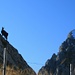 neugieriger Beobachter beim Gehrenjoch