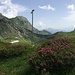Unser Rastplatz zwischen Alpenrosen
