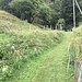 HInter dem Bauernhof startet der eigentliche Aufstieg.