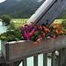 schöne Blumenkisten auf der Brücke bei Madulain