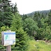 Aus der linken Bildseite mündet der Camp Alice Trail in den Commissionary Trail. Weiter geht es in die entgegengesetzte Richtung vom Betrachte.