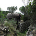 Bunker con trincea / mit [http://www.hikr.org/gallery/photo1268831.html?post_id=72041#1 Schützengraben] am Monte Cocchero