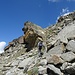 Färichhorn ascent.