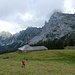 Wandflue, Zuckerspitz und Dent de Ruth vor Augen - streben wir wieder der Alp zu