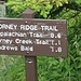 Wer den Appalachian Trail komplett wandern will: der ist etwa 3'500 km lang!