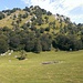 Zocca di Cavée, 1330 m.