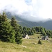 <b>Seguo il segnavia per la Capanna Alpe di Prou, ben cosciente che allungherò il percorso, a tutto vantaggio del panorama. </b>