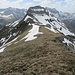 Die Gipfelkrone des Fleischkopfes, gesehen von Norden am Südgrat des Schwarzen Kranzes (Juni 2014)