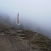 Der Tiroler Adler weht immer noch im Nebel.