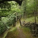 Hier hat der Wald die Wirtschaftsflächen nach über 2000 (?) Jahren zurückerobert.