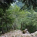Im Aufstieg über den Dos d'Ane. 