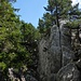 Im Canyon.