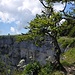 Am Creux du Van. 