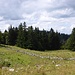 Bei Le Jordani. 