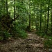 Auf dem Sentier Single.