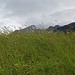Schauerpausenwanderung