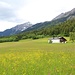 Rechenhofwiese vor <a href="http://www.hikr.org/tour/post102910.html">Brandjochspitze</a>