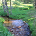 Crossing Willow Creek