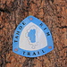 After Armstrong Pass, I follow the [https://www.tahoerimtrail.org/ Tahoe Rim Trail] for a while