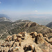 The view from Jobs Sister down to the Carson Valley and City
