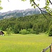über die Rechenhofwiese